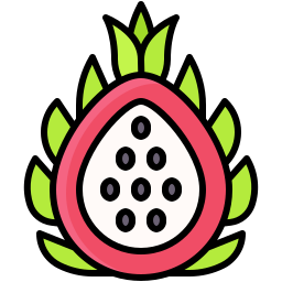 Dragon fruit icon