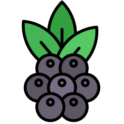 Blackberry icon