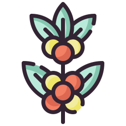 Coffee plant icon