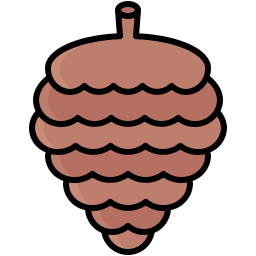 Pine Cone icon