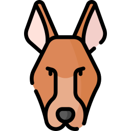 pharao-hund icon