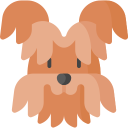 yorkshire-terrier icon