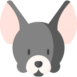 chihuahua icon