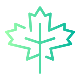 Maple leaf icon