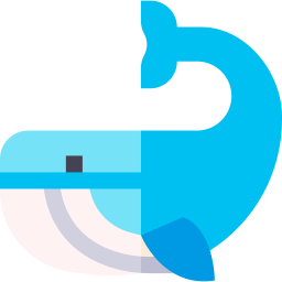 Whale icon