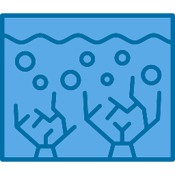 Coral reef icon