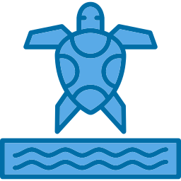 Sea turtle icon