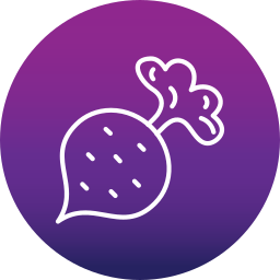 Radish icon