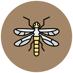 mosca dragão Ícone