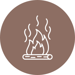 Fire icon