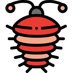 Arthropod icon