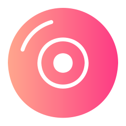 vinyl icon