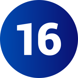 16 Icône