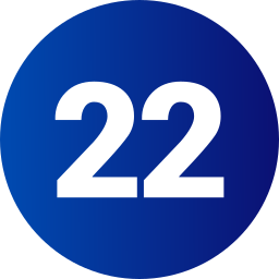 22 Ícone