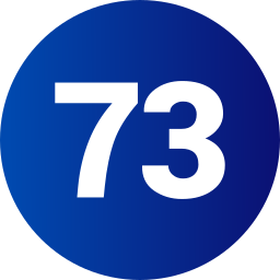 73 icon