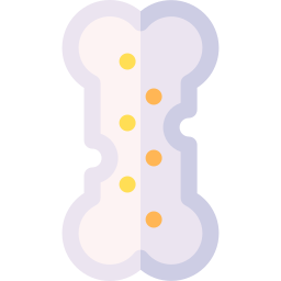 osteoporose icon