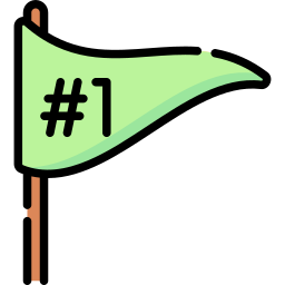 Flag icon