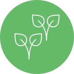 Leaf icon