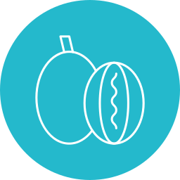 Rockmelon icon