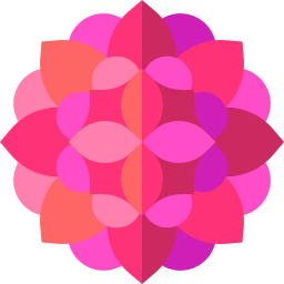 mandala icon