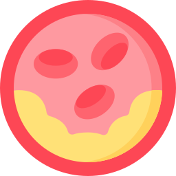 Cholesterol icon