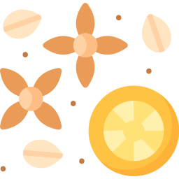 Spices icon