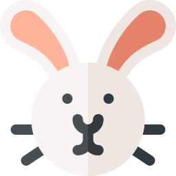 Rabbit icon