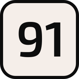 91 Ícone