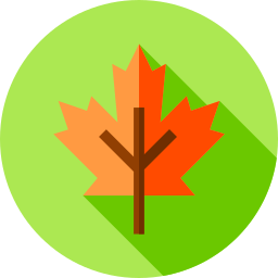 Leaf icon