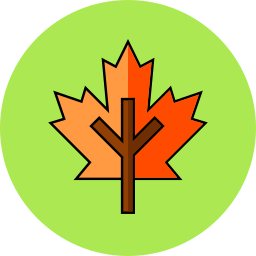 Leaf icon