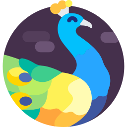 Peacock icon