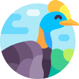 Cassowary icon