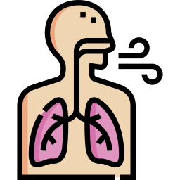 sistema respiratório Ícone