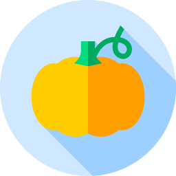 Pumpkin icon