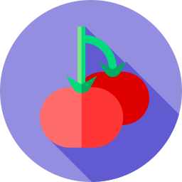 Tomatoes icon