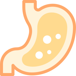 Stomach icon