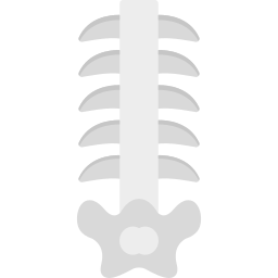 kręgosłup ikona