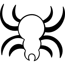 spinne icon