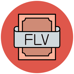 flv icon