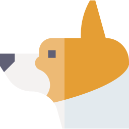 corgi icon