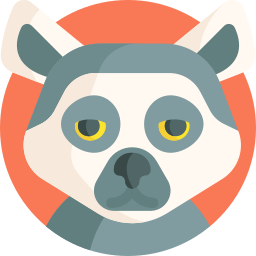 lemur icon