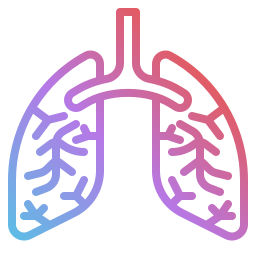 polmoni icona