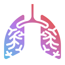 Lungs icon