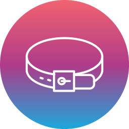 Belt icon