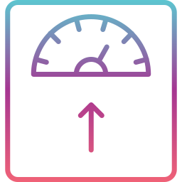 Weight Scale icon