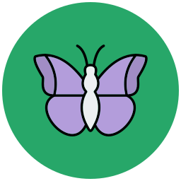 Butterfly icon