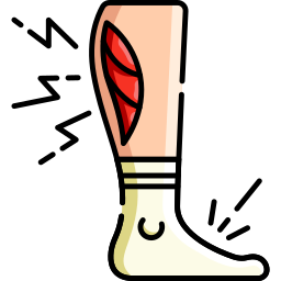 Calf icon