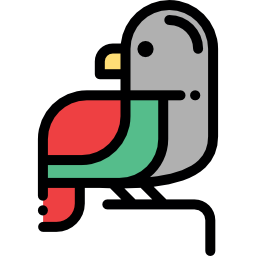 Parrot icon