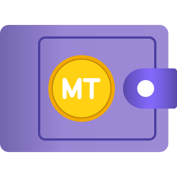 Metical icon