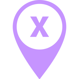 Letter x icon